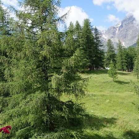 Window On The Mountains Apartment Breuil-Cervinia Exterior photo